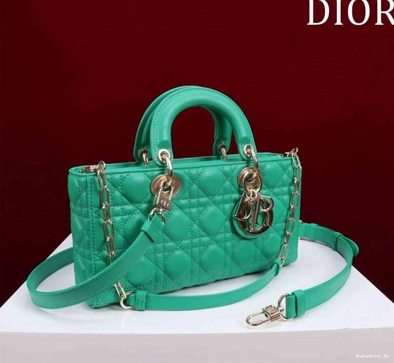 71064 Christian Dior Original My Lady Bags 0813